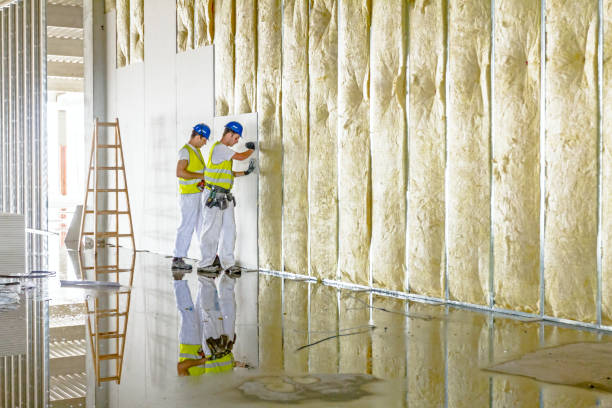 Best Radiant Barrier Insulation  in Cass City, MI